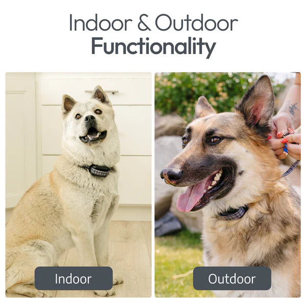 PawTronic Hybrid Series Wireless Dog Fence - Indoor and Outdoor Dog Fence Collar