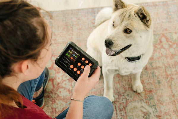 PawTronic Hybrid Series Wireless Dog Fence - Indoor and Outdoor Dog Fence Collar