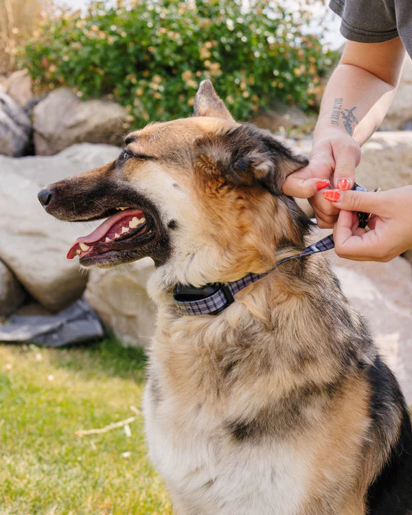 PawTronic Hybrid Series Wireless Dog Fence - Indoor and Outdoor Dog Fence Collar