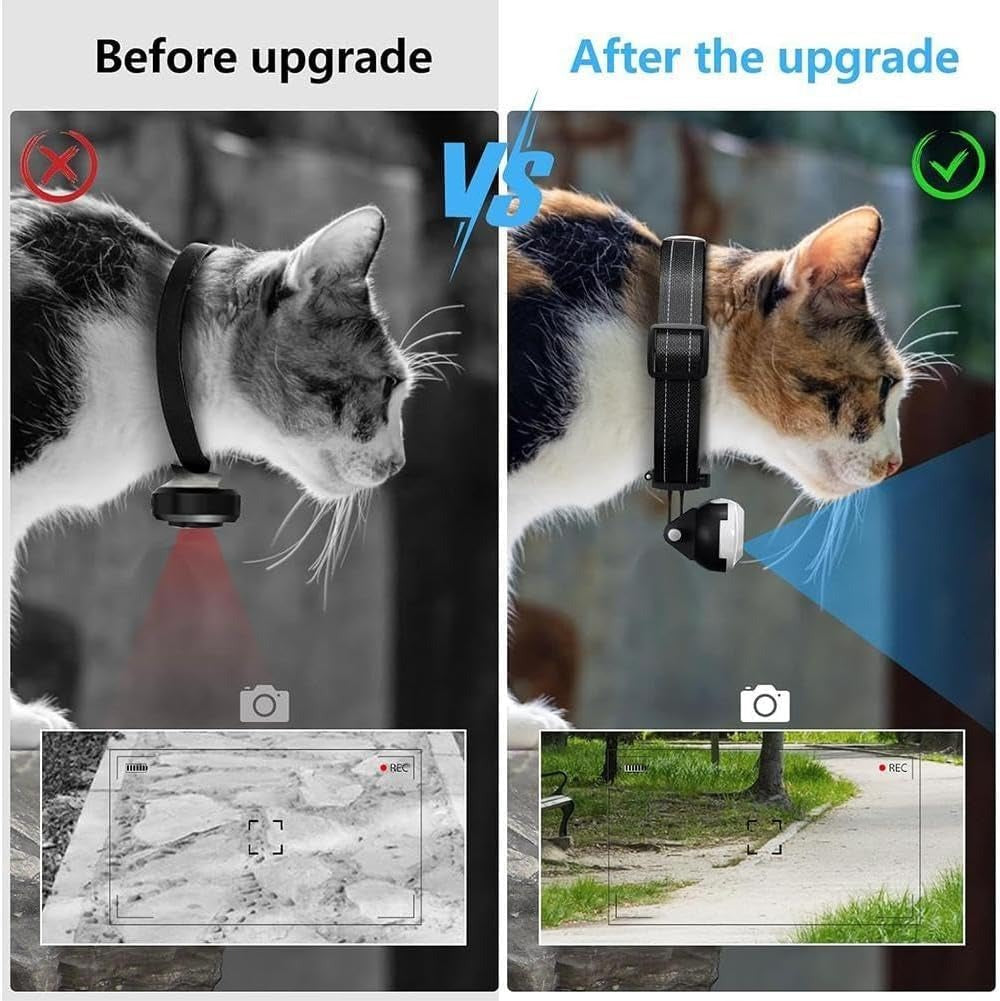 Dog Collar Camera