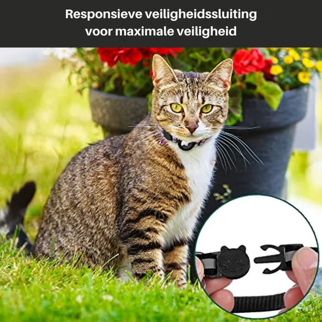 Cat GPS Tracker Collar