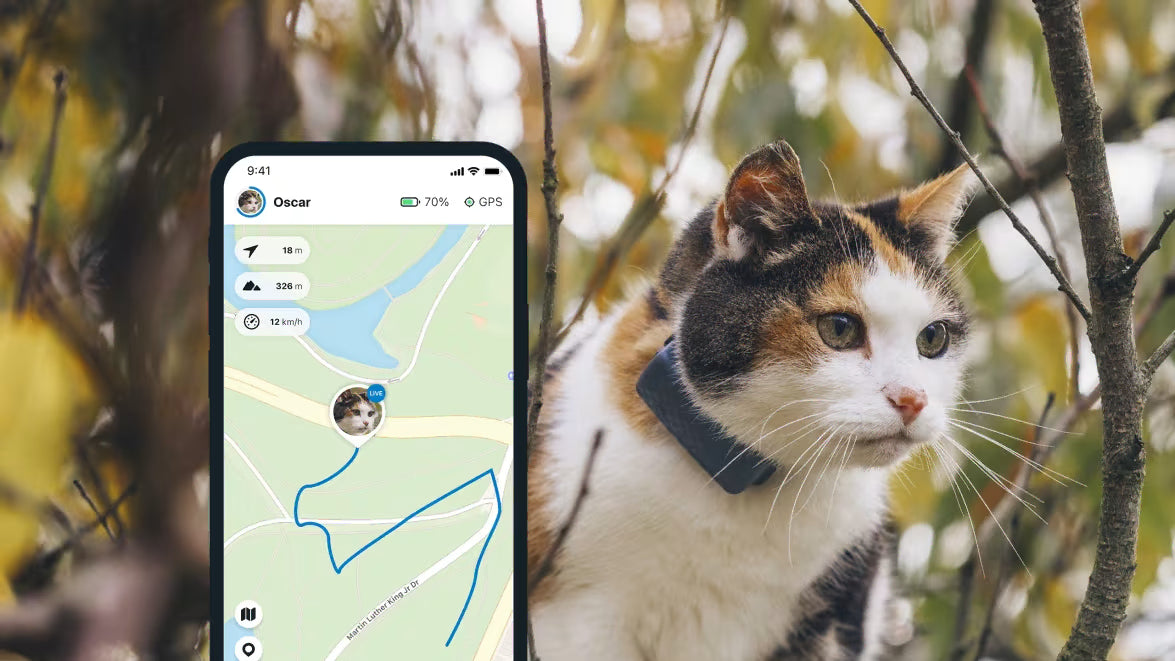 Smart Cat Collar