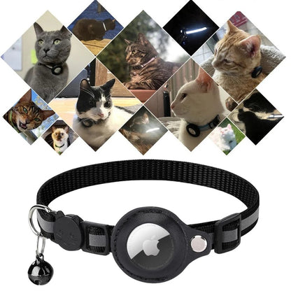 Cat GPS Tracker Collar