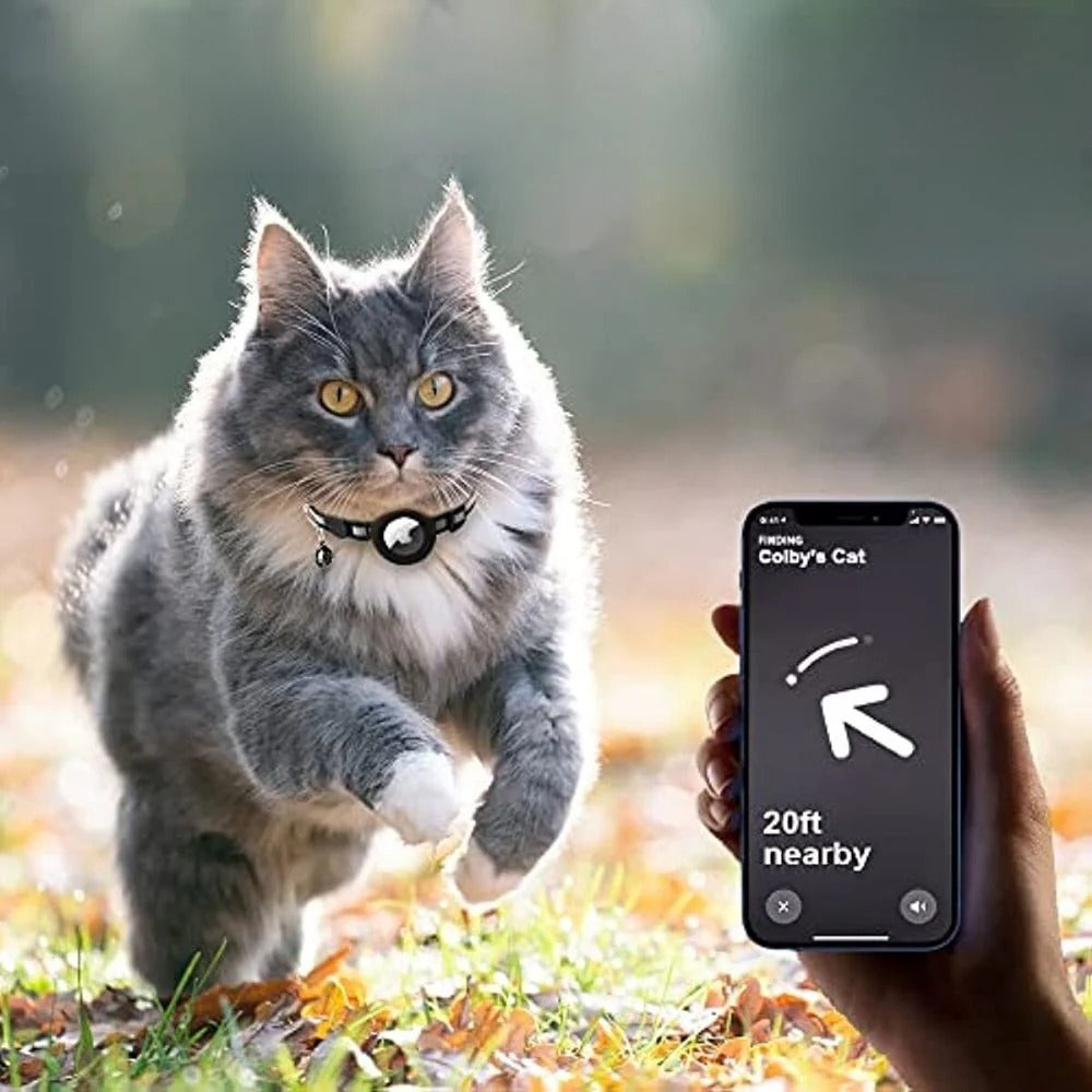 Cat GPS Tracker Collar