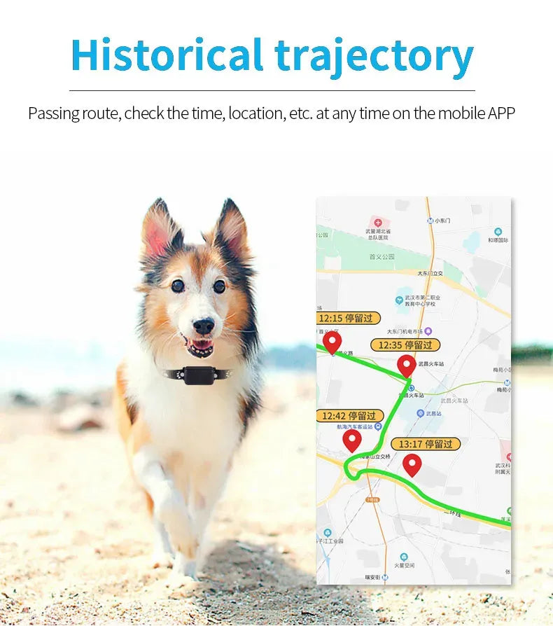 GPS/Agps/Lbs/WiFi Real Time Positioning Dog and Cat Collar Tracker