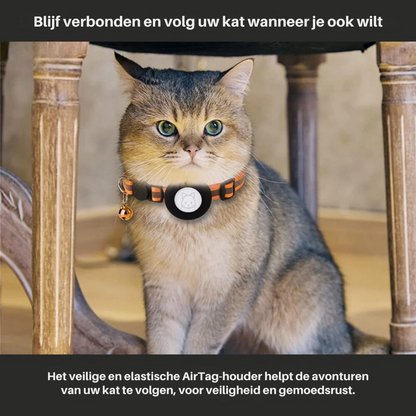 Cat GPS Tracker Collar
