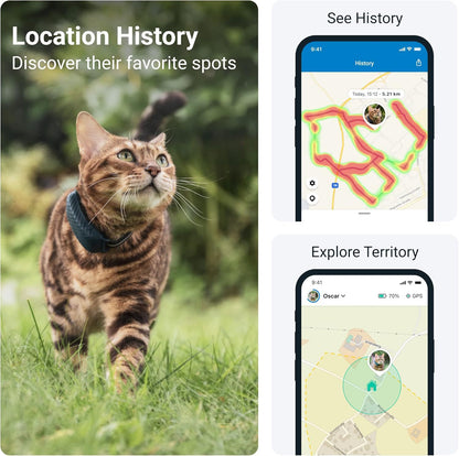 Smart Cat Collar