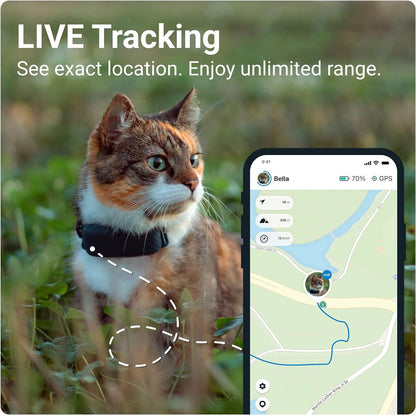 Smart Cat Collar